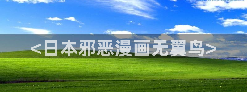 汗汗漫画羞羞：<日本邪恶漫画无翼鸟>
