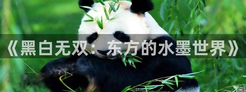汗汗漫画网页观看：《黑白无双：东方的水墨世界》