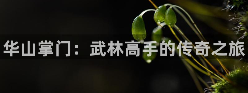 羞羞漫画,汗汗漫画歪歪漫画：华山掌门：武林高手的传奇之旅
