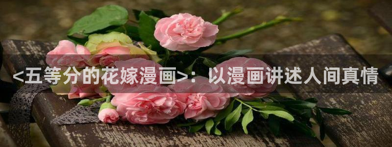 汗汗漫画海贼王