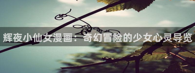 秘密教学汗汗漫画：辉夜小仙女漫画：奇幻冒险的少女心灵导览