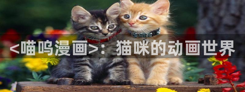 汗汗漫画52：<喵呜漫画>：猫咪的动画世界