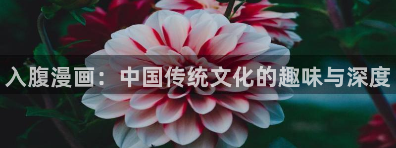 汗汗漫画网改名：入腹漫画：中国传统文化的趣味与深度
