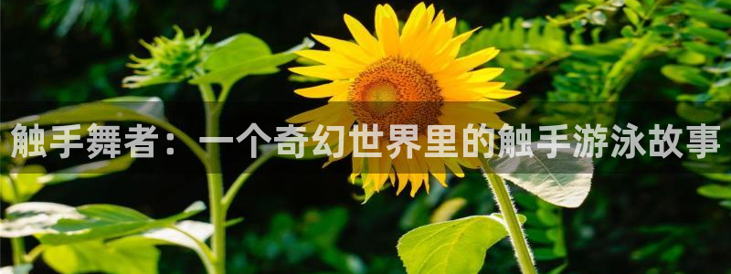 汗汗漫画网页版