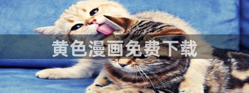 汗汗漫画大全首页
