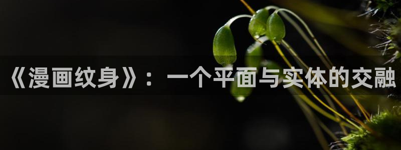 汗汗漫画sss：《漫画纹身》：一个平面与实体的交融