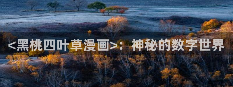 汗汗漫画在线免费看：<黑桃四叶草漫画>：神秘的数字世界