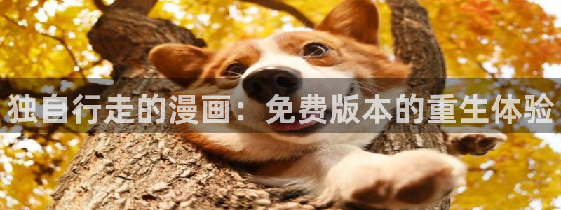 汗汗漫画ssss